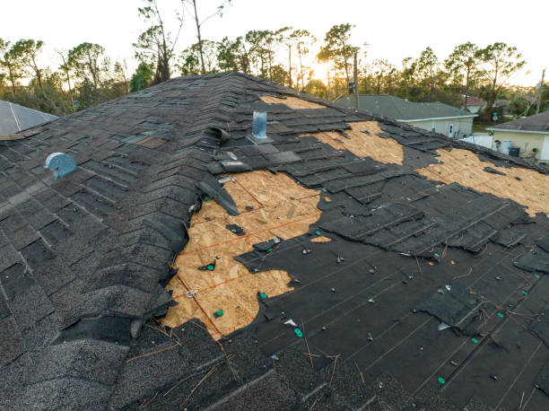 Best Cold Roofs  in Fern Acres, HI