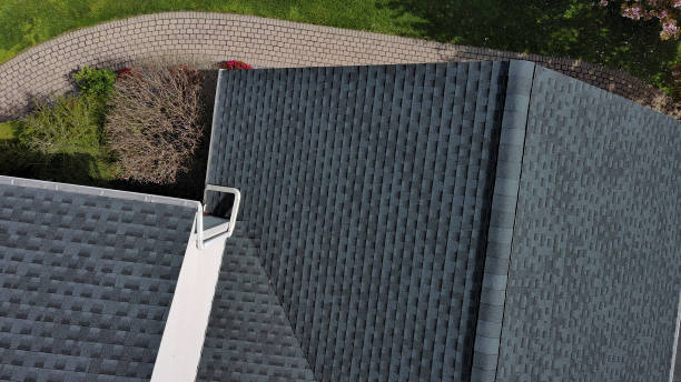 Best Roof Maintenance and Cleaning  in Fern Acres, HI